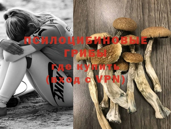 mdpv Арсеньев