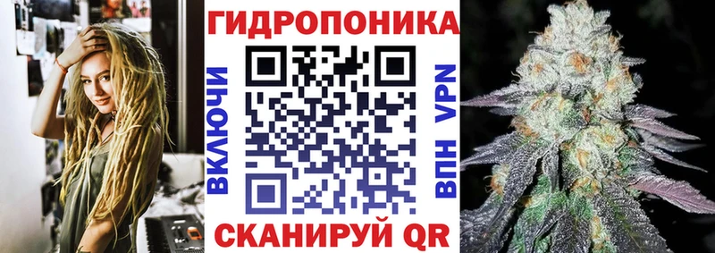 наркота  mega   Бошки Шишки THC 21%  Чехов 